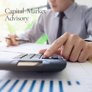Capital Market Advisory Service